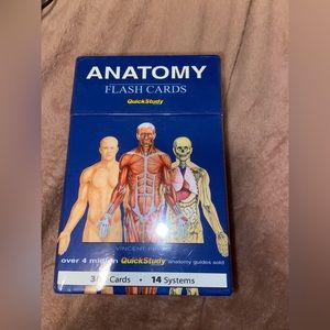 Anatomy flashcards